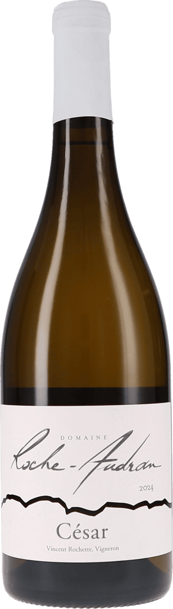 Roche-Audran | Rhone (Süd) | Côtes du Rhône blanc “Cuvée César” | 2024 | 750ml | bio