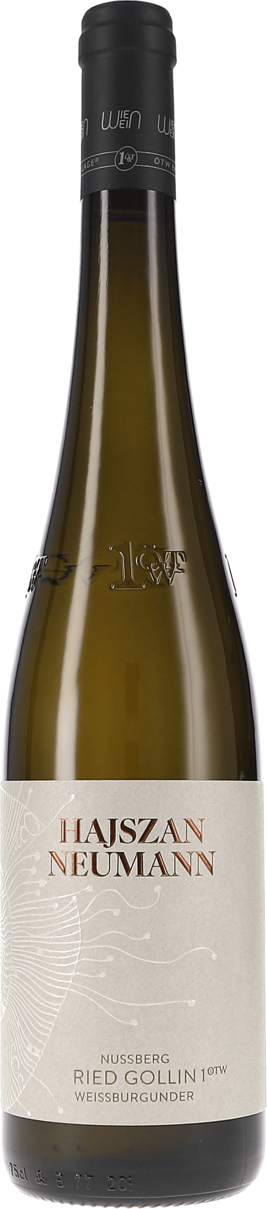 Hajszan Neumann | Vienna | Weissburgunder Ried Gollin 1.ÖTW, Nussberg | 2024 | 750ml | bio