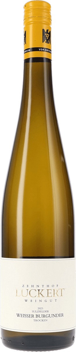 Zehnthof Luckert | Franken | Sulzfelder Weisser Burgunder trocken | 2025 | 750ml | bio