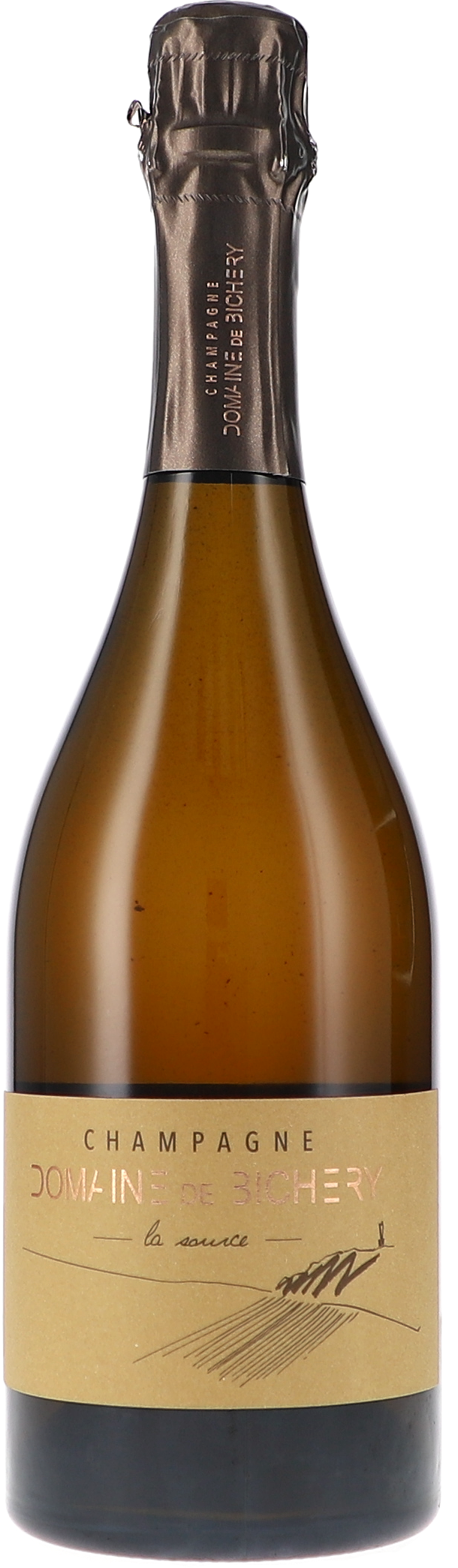 de Bichery | Champagne | La Source, Brut Nature | 2021 | 750ml | bio
