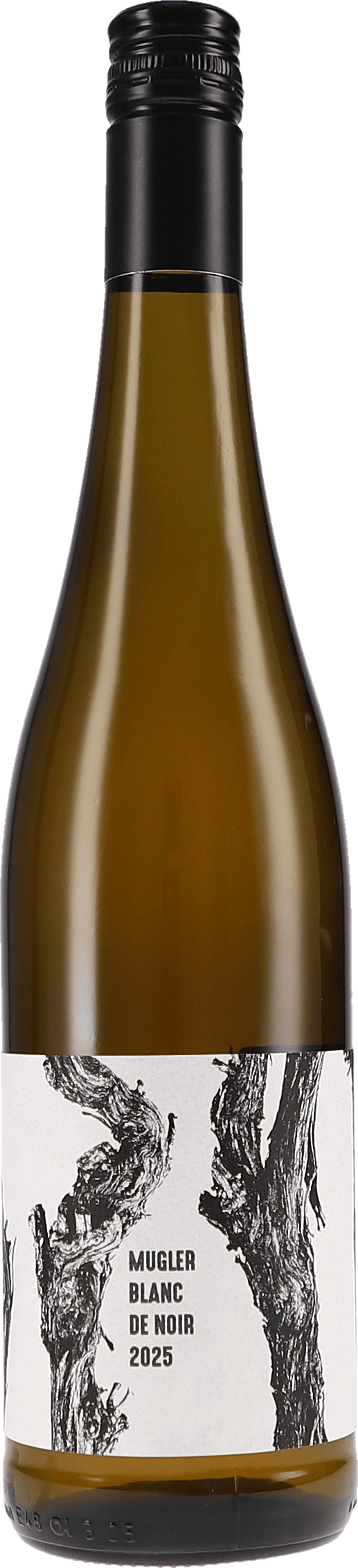 M. Schädler – Steffen Mugler | Pfalz | Blanc de Noir | 2025 | 750ml | bio