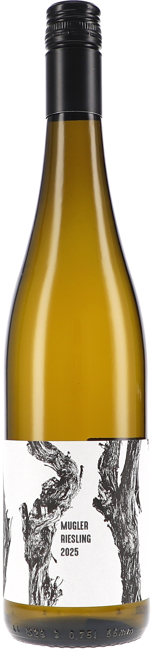 M. Schädler – Steffen Mugler | Pfalz | Mugler Riesling trocken | 2025 | 750ml | bio