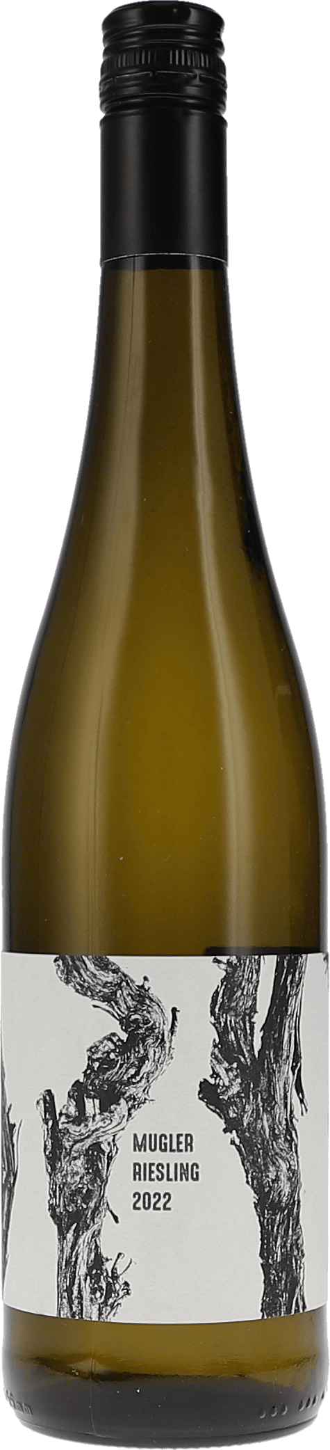 M. Schädler – Steffen Mugler | Pfalz | Mugler Riesling trocken | 2025 | 750ml | bio