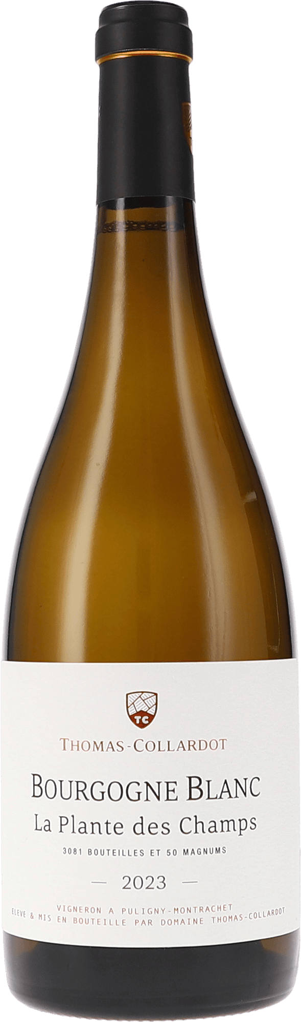 Thomas-Collardot | Burgundy | Bourgogne blanc “La Plante des Champs” AOC | 2023 | 750ml | bio