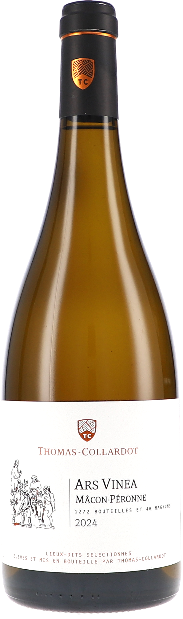 Thomas-Collardot | Burgundy | Mâcon-Péronne Ars Vinea blanc AOC | 2024 | 750ml | bio